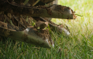 Why Core Aeration is Essential for a Healthy Lawn