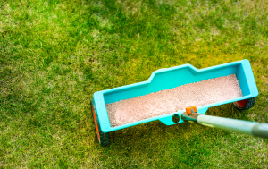Lawn Fertilizer Calgary: The Best Way to Keep Your Lawn Green
